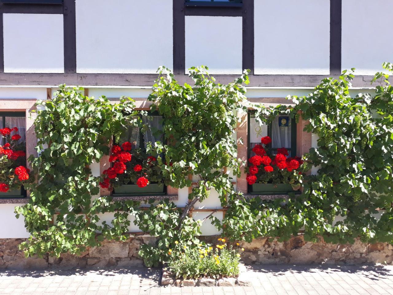 Готель Balancehaus Kohren-Sahlis, Dein Kurhaus In Sachsen Екстер'єр фото